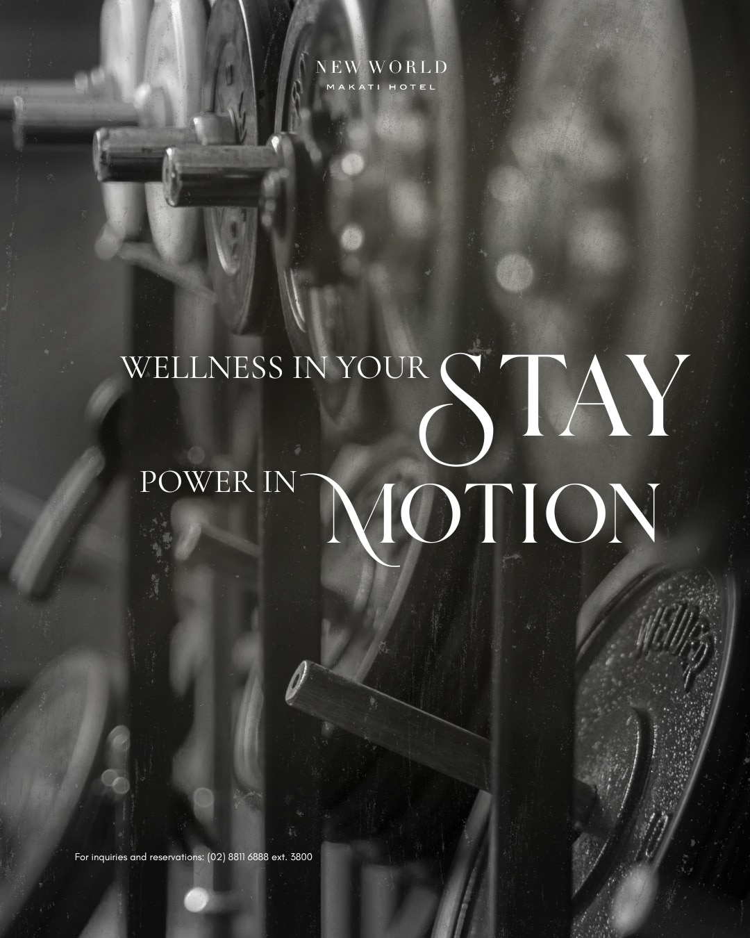 Balance your stay with strength and movement.​

​At New World Makati Hotel, wellness is always within reach.​

Recharge, reset, repeat.​

Operating Hours: 
Open daily from 6:00 AM to 10:00 PM
24/7 access for in-house guests

📞 (02) 8811 6888 (For General inquiries)​
📱 0917 888 4194 (For F&B inquiries)​
📧 enquiry.manila@newworldhotels.com or servicecentre.manila@newworldhotels.com​
🌐 manila.newworldhotels.com​

#NewWorldMakati #NewWorldMakatiHotel #NewWorldHotels