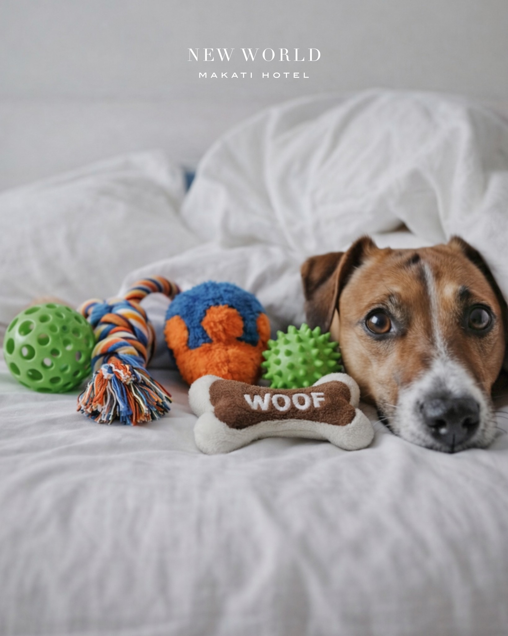 Check in, cuddle up, and let tails wag with joy 🐾​
​
Because family means paws, tails, and unconditional love. Celebrate togetherness with a pet staycation that pampers both you and your furry friend. At New World Makati Hotel, every guest is cherished.​
​
Book a staycation for all your family members today: https://manila.newworldhotels.com/en/posh-petcations/

📞 (02) 8811 6888 (For General inquiries)​
📱 0917 888 4194 (For F&B inquiries)​
📧 enquiry.manila@newworldhotels.com or servicecentre.manila@newworldhotels.com​
🌐 manila.newworldhotels.com​​

#NewWorldMakati #NewWorldMakatiHotel #NewWorldHotels