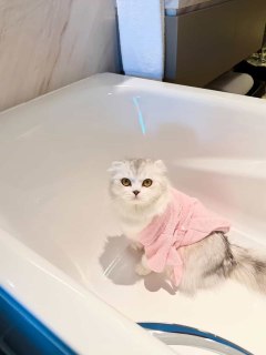 Checked in and feeling purr-fect.​

From cozy naps to playful moments, it’s a getaway they’ll never fur-get​

Featuring: @iamnickpurry​

Book your staycation today:​

📞 (02) 8811 6888 ​
 📱 0917 888 4194 ​
📧 enquiry.manila@newworldhotels.com​
🌐 manila.newworldhotels.com​

#NewWorldMakati #NewWorldMakatiHotel #NewWorldHotel #PetStaycation #NickPurry #CatCollab #FurBabyGetaway