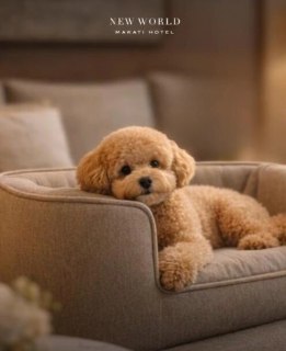 Little paws, unforgettable stays 🐾​
Turn your getaway into a pet-friendly escape filled with comfort, cuddles, and joy.​

Book your stay today: ​
📞 (02) 8811 6888 ​
 📱 0917 888 4194 ​
📧 enquiry.manila@newworldhotels.com ​
🌐 manila.newworldhotels.com​

#NewWorldMakati #NewWorldMakatiHotel #NewWorldHotels